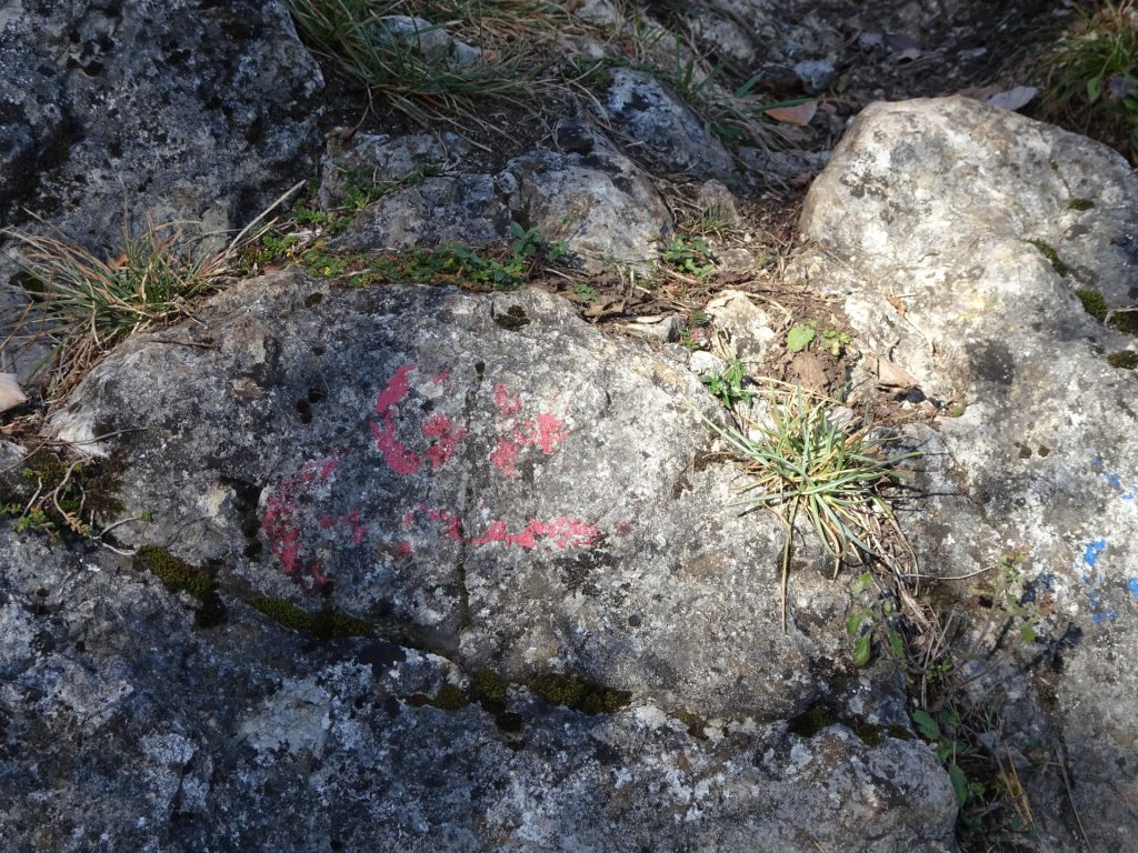 Marking of the crossing towards "Ganghofersteig" (hard to find!)