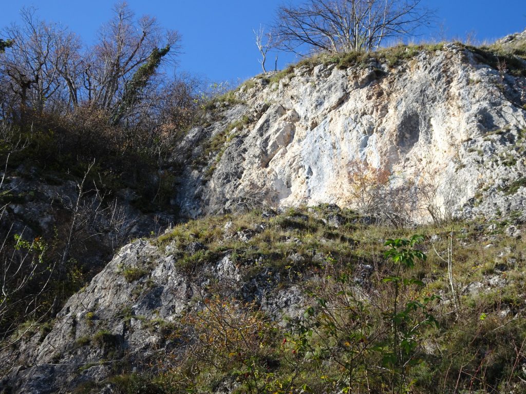 The crux of "Ganghofersteig" (steep part with only rungs)