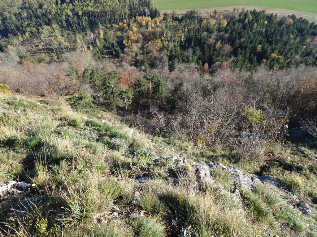 View from "Ganghofersteig"