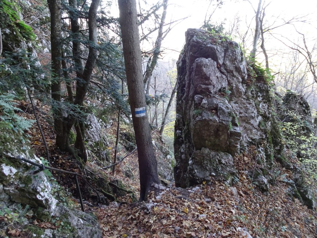 Descending via "Drobilsteig"