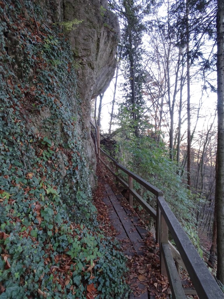 Towards the "Einhornhöhle" at the end of "Drobilweg"