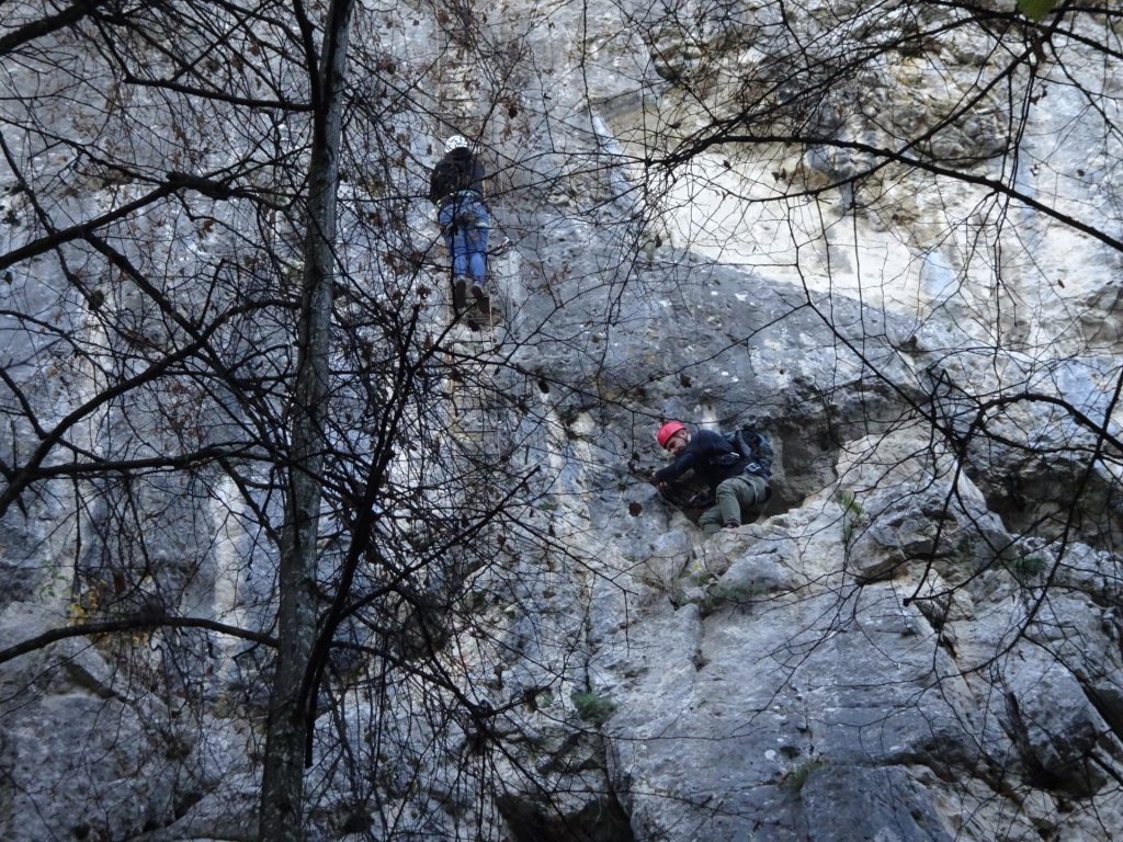 Observing fellows on the crux of "Währingersteig"