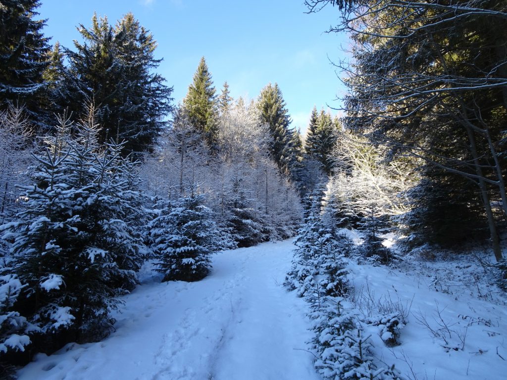 "Reißtalersteig"