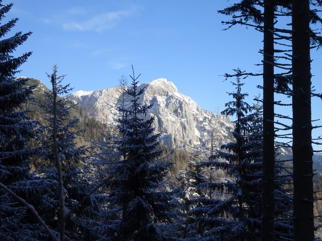 View from the trail upwards to "Reißtalersteig"