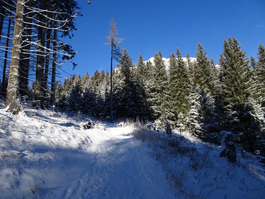 Towards "Reißtalerhütte"