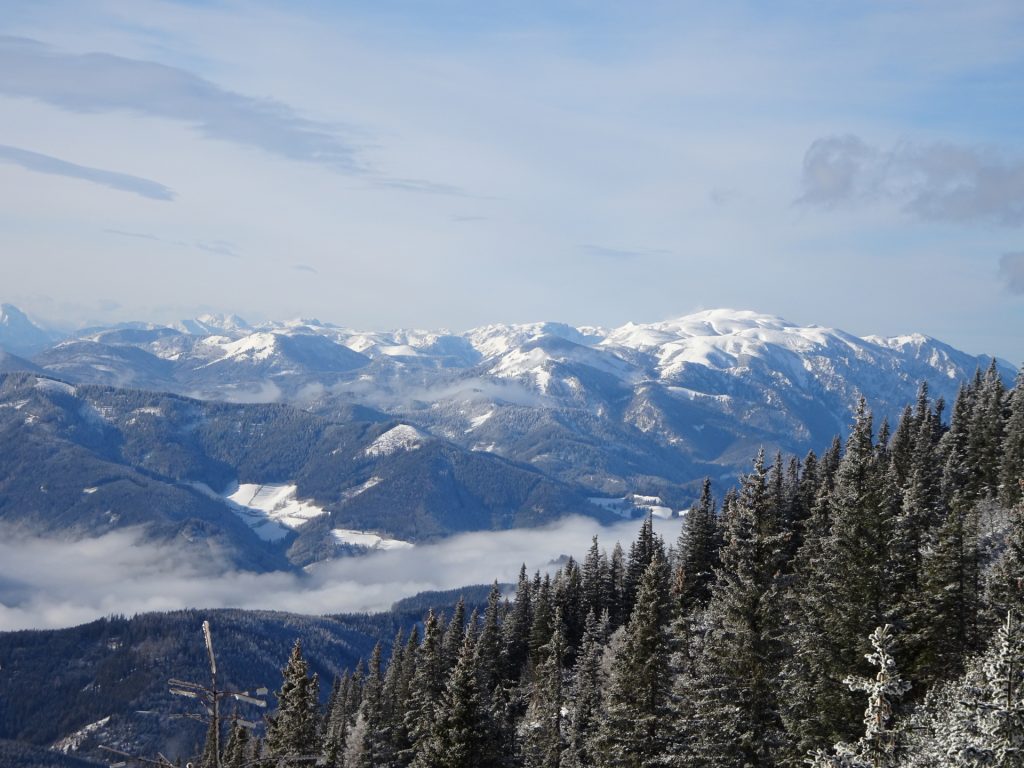 Amazing distance view from the trail