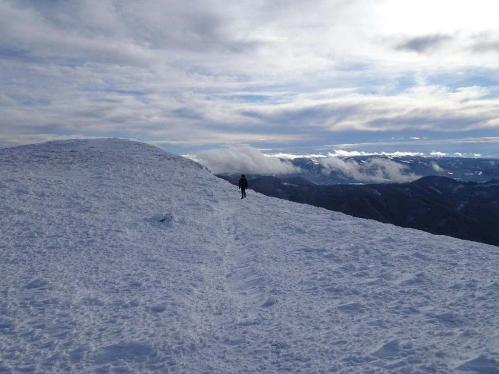 Herbert following towards "Heukuppe"