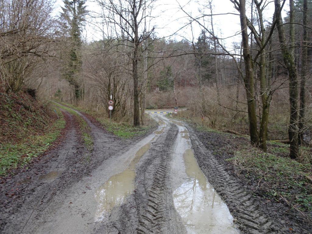 Follow the red-yellow marked trail (towards the gate)