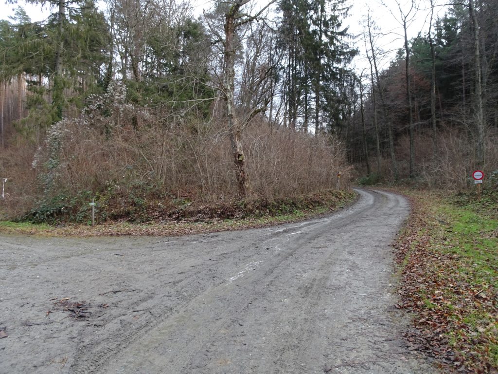 Keep right here and follow the red-yellow marked trail