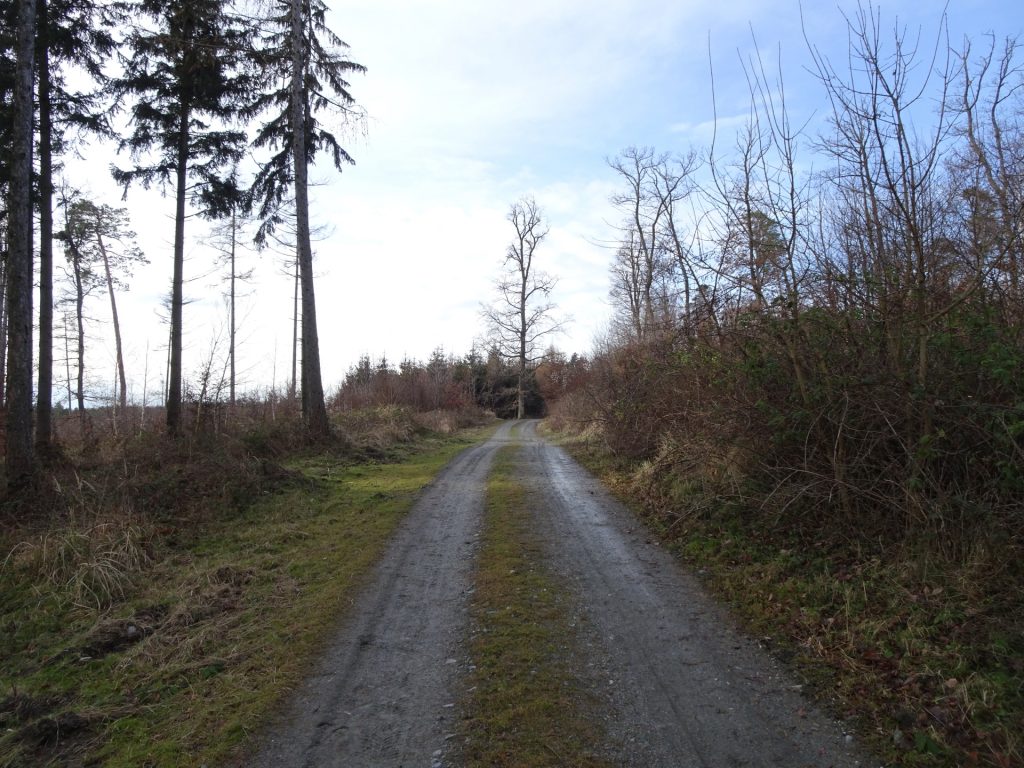 Follow the road towards "Geschriebenstein"