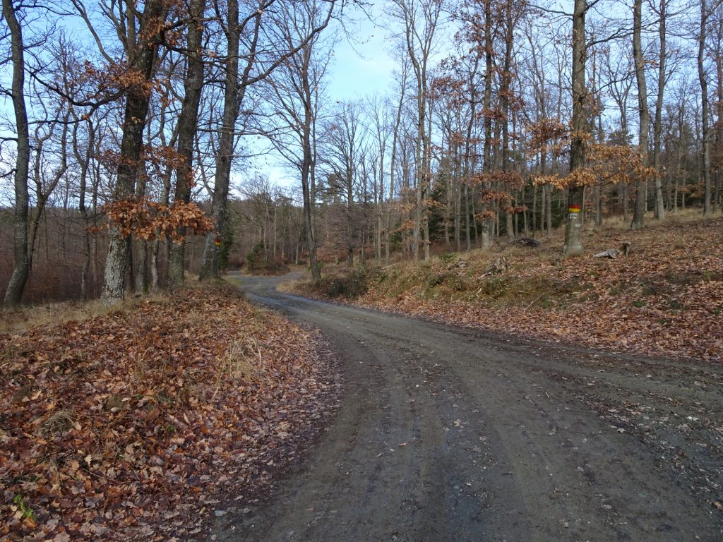 Follow the red-yellow marked forest road (turn left)