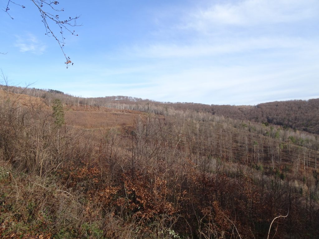 View from the trail