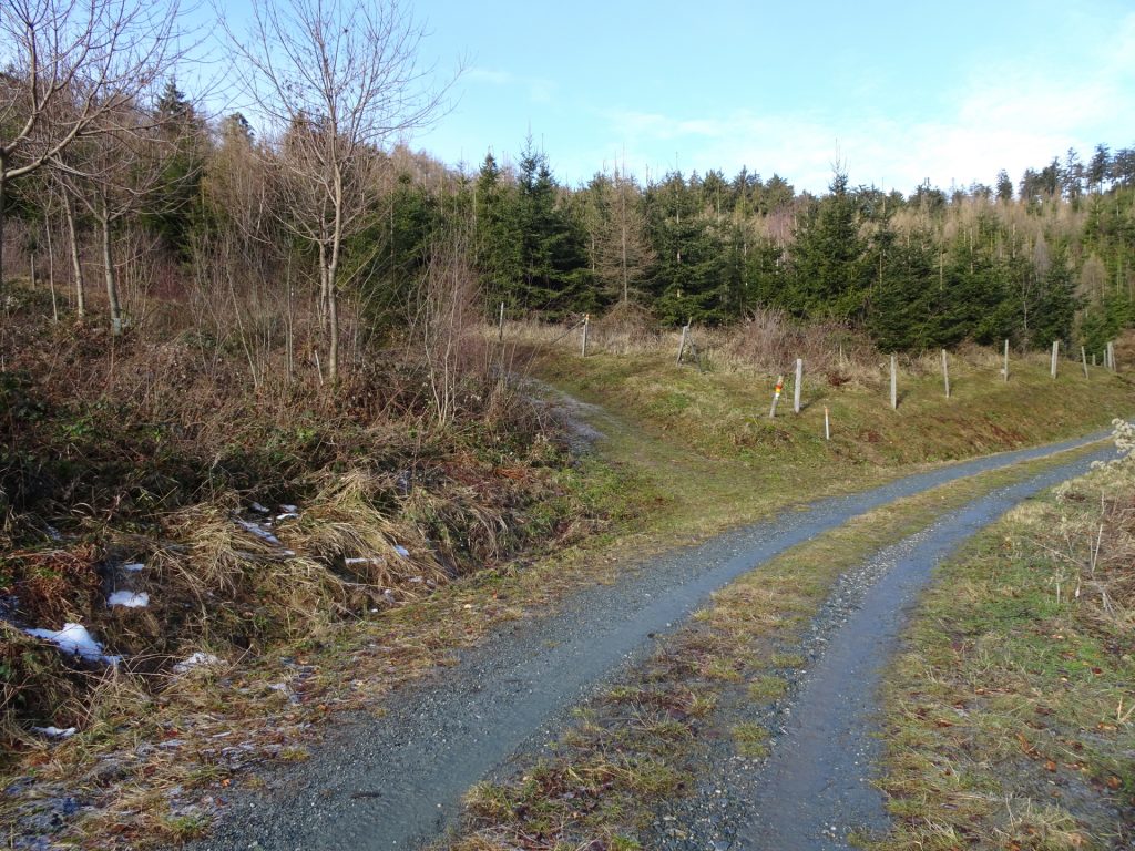 Turn left here and follow the red-yellow marked trail updwards