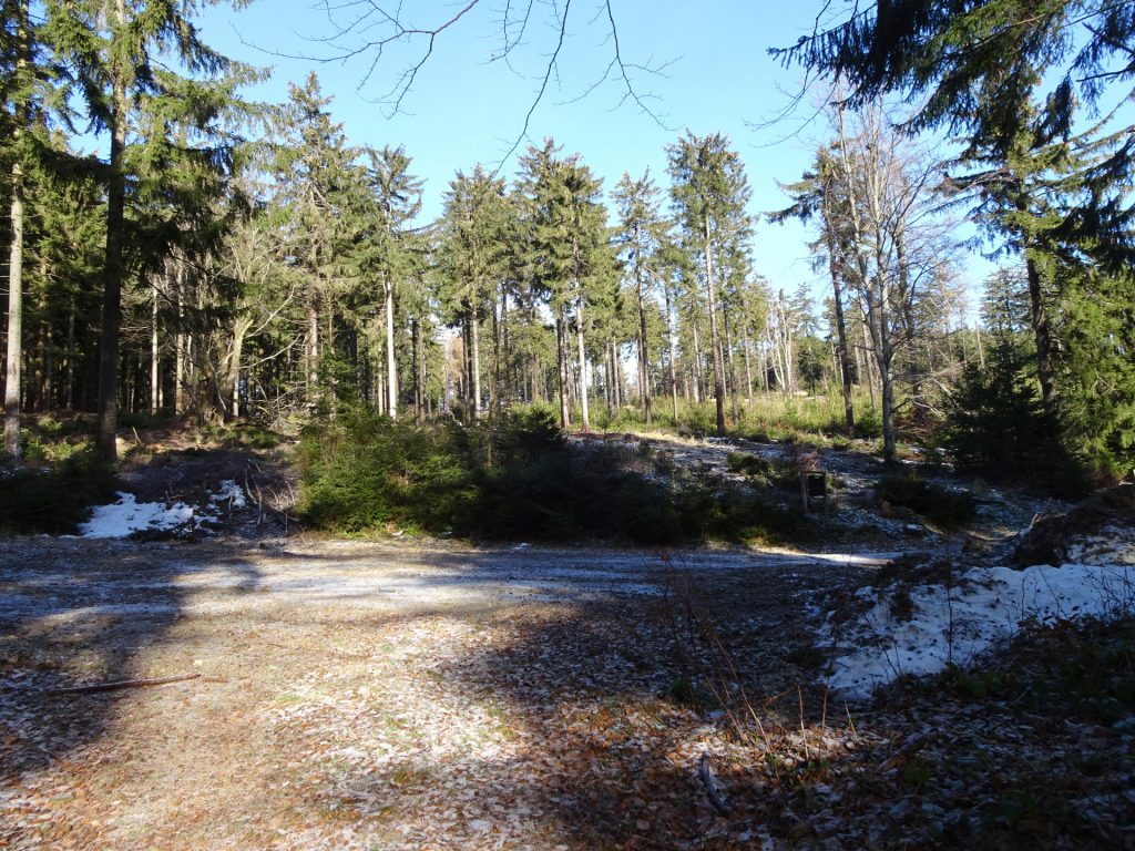 TRail towards the viewing platform