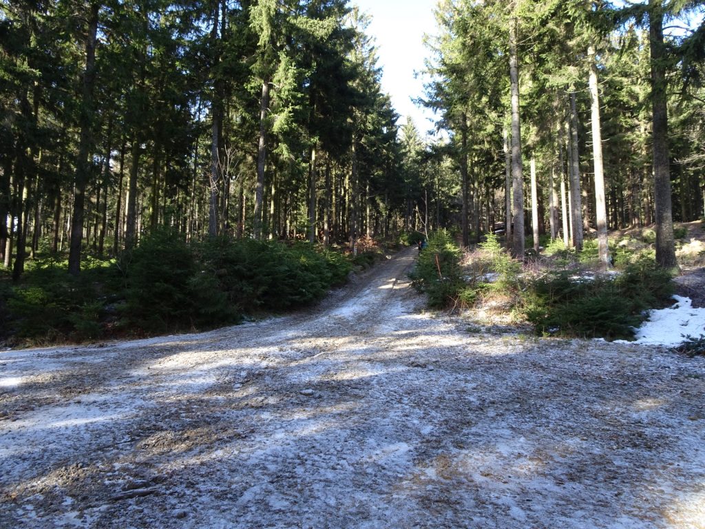 Keep straight and follow the red-yellow marked trail upwards