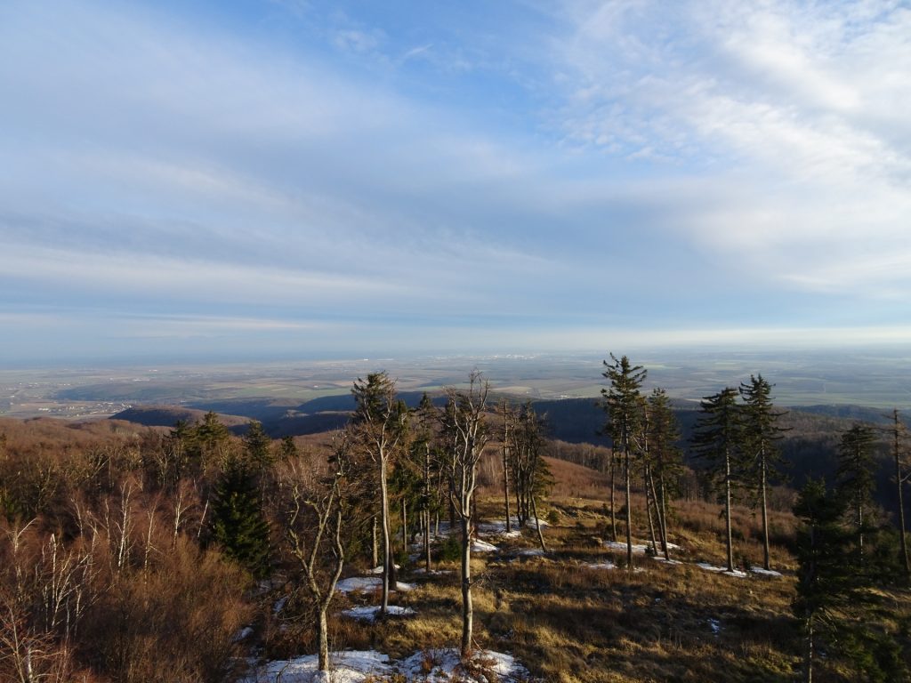 View towards Hungary from the viewing platform (tower)