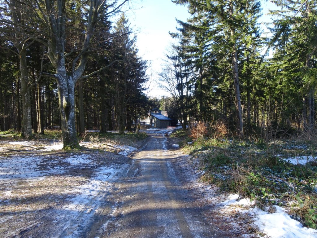 Trail to "Hirschenstein"