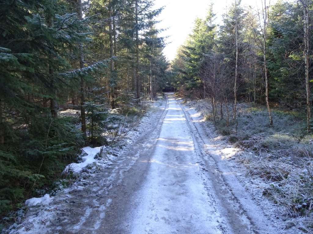 Trail towards "Hirschenstein"