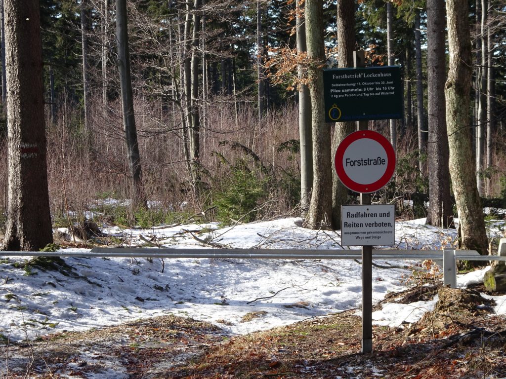 Follow the white-red-white trail (bypass the gate) to "Hirschenstein"