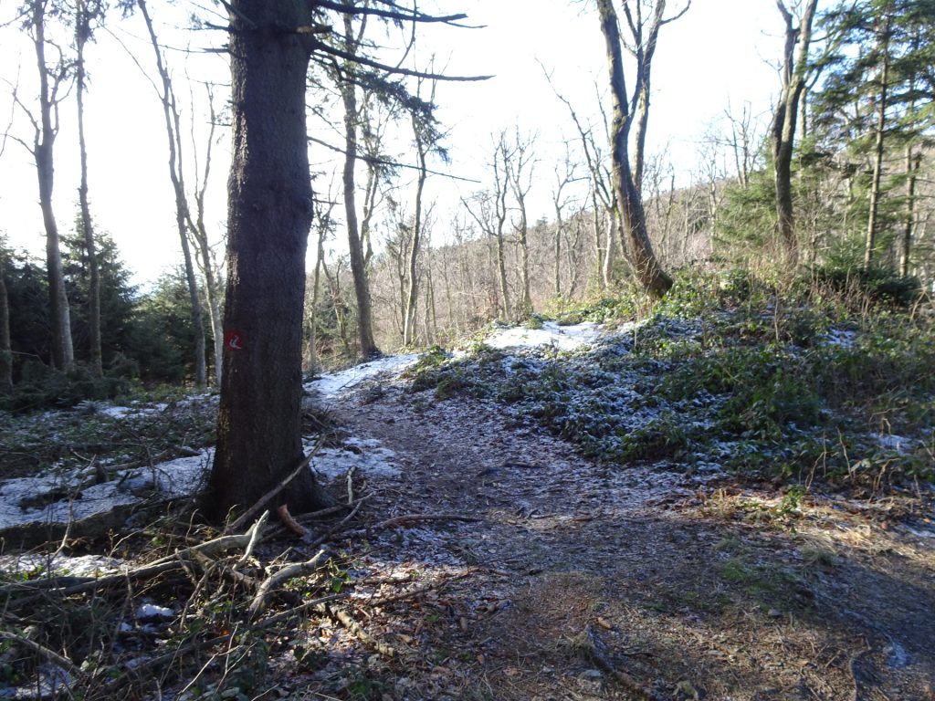 Follow the small trail on the left towards the antenna of "Hirschenstein"