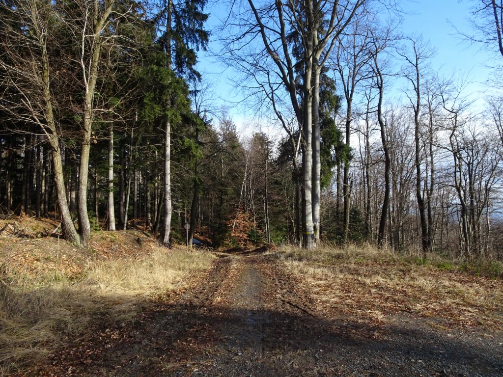 Trail back to Rechnitz