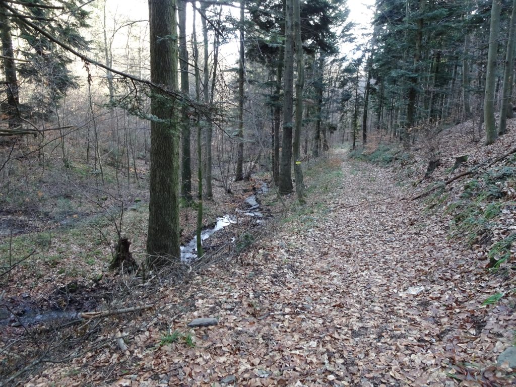 Follow the yellow-marked trail downwards