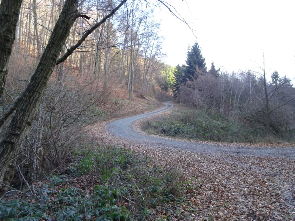 Turn left and follow the yellow marked trail (Tip: Turn right here and follow the street downwards for an easy shortcut!!!)