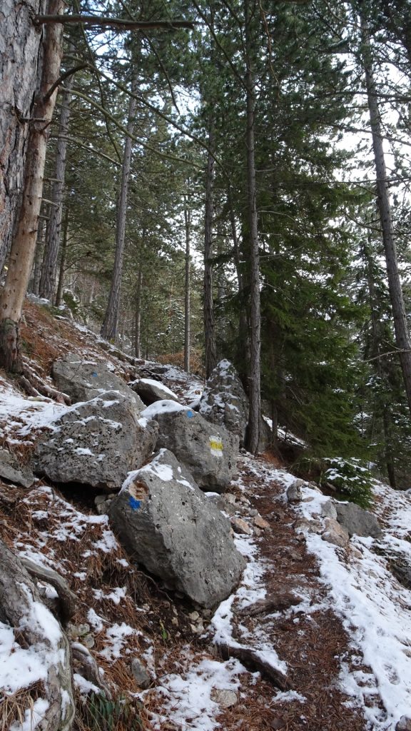 Follow the white-yellow-white markings ("Wagnersteig")