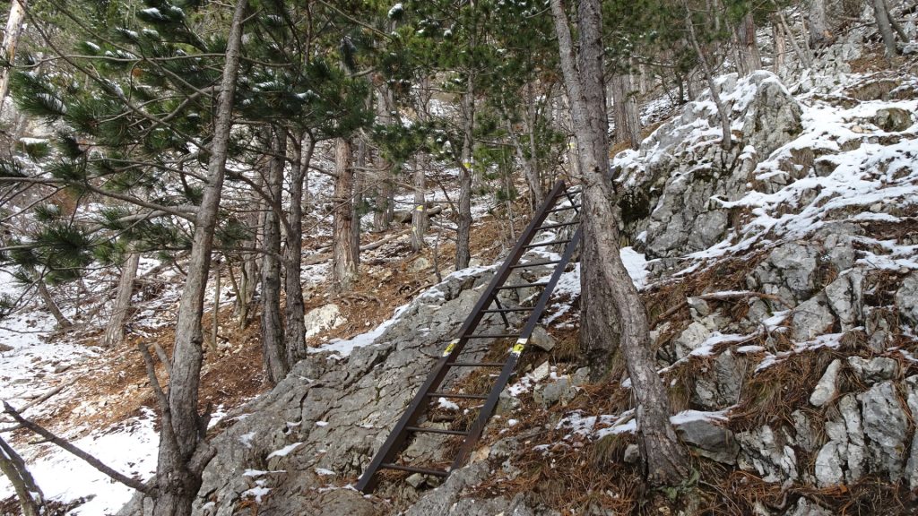 The first ladder at "Wagnersteig"