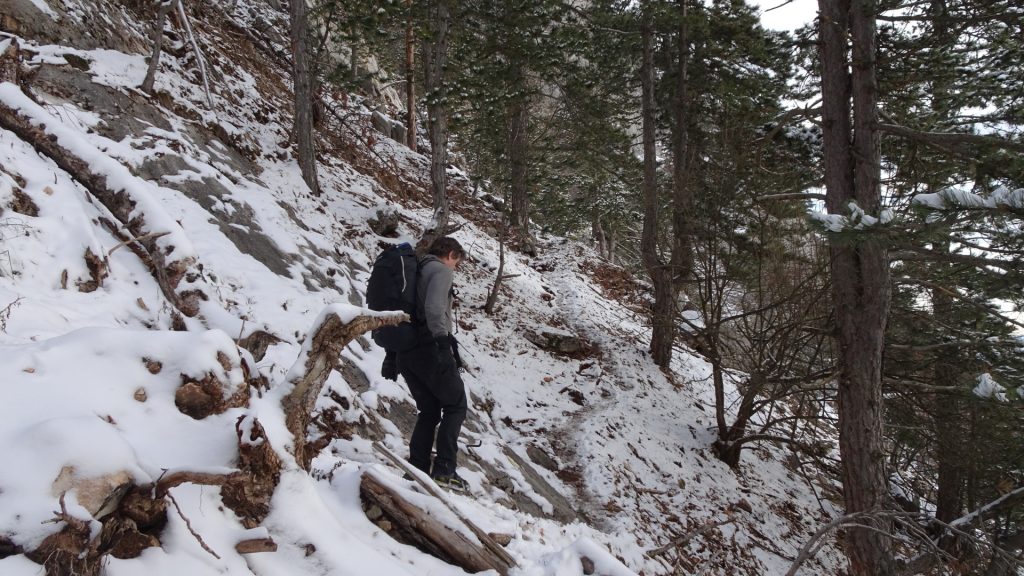 Robert on the "Wagnersteig" (A)