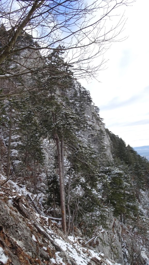 View from the "Wagnersteig"