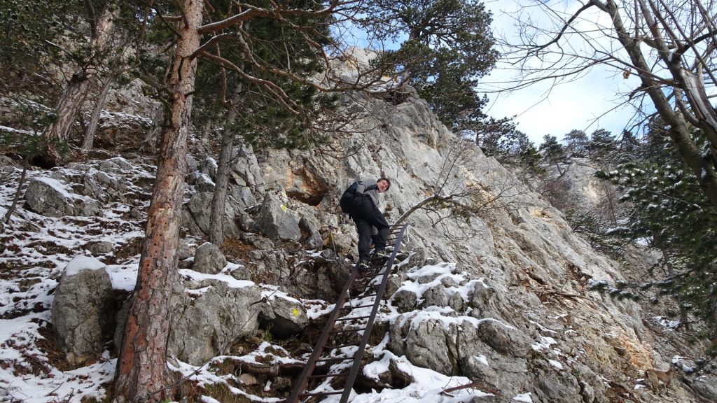 Robert climbing up the ladder (A)