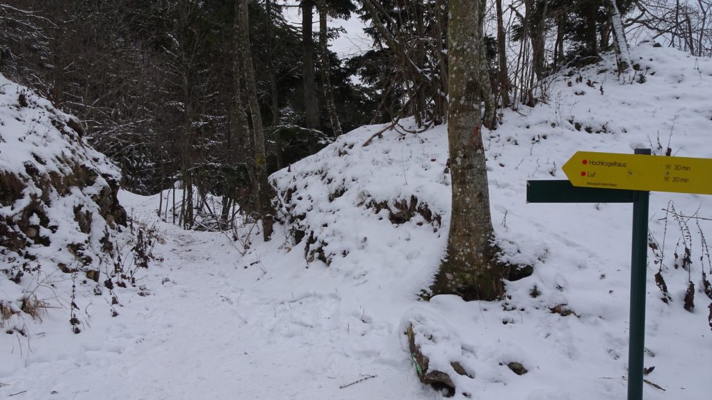 Crossing at the "Leitergraben" (turn left to hike up)