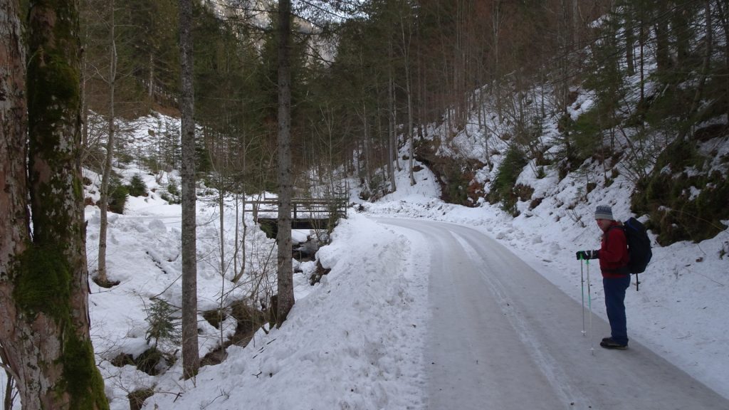 Robert on the icy forest road