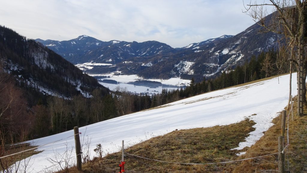 Towards Kamplsteig