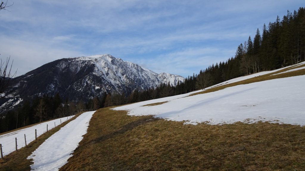 Towards Kamplsteig