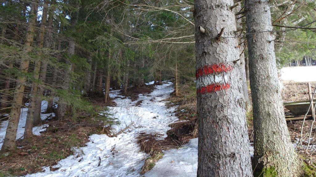 Trail towards Messnerin