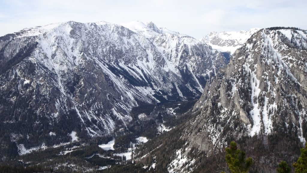 The "Grüner See" view