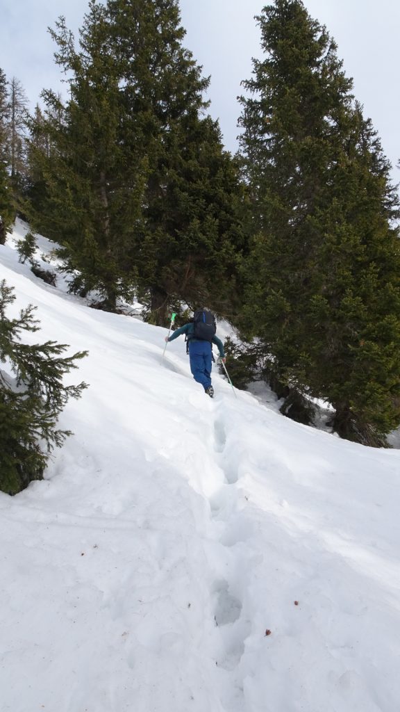 Robert leads in deep snow