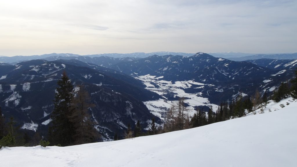 View down in the valley