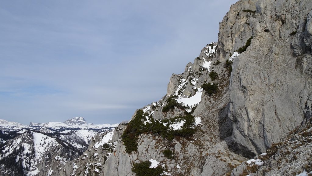 View from the saddle