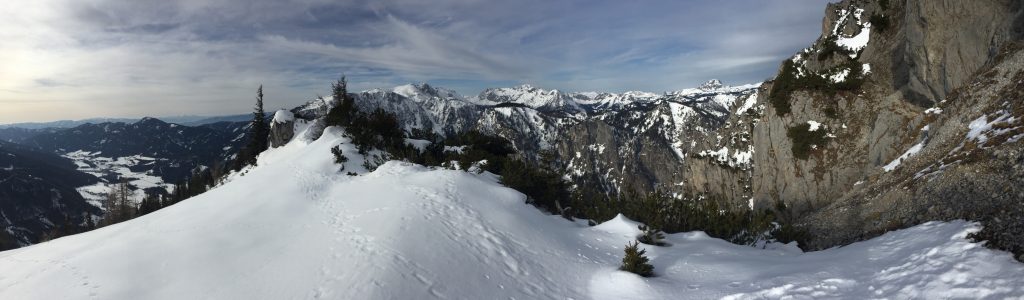 View from the saddle