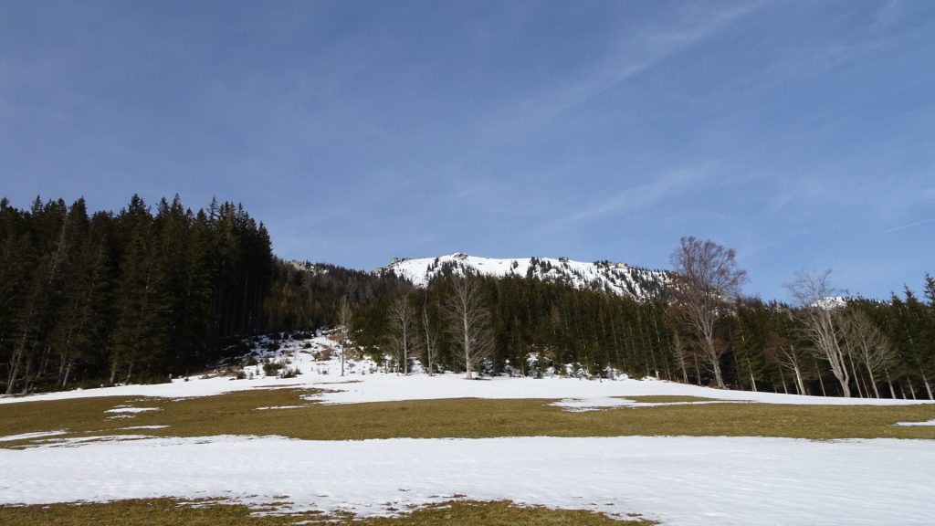 View back to Messnerin from the Kamplsteig