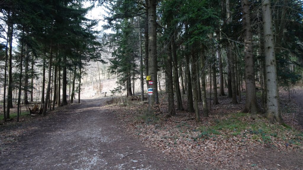 At the crossing towards "Drobilsteig"