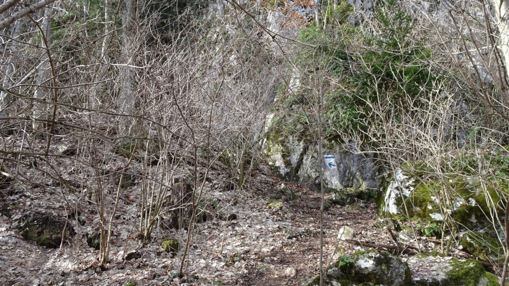 Follow the white-blue-white marking of "Drobilsteig"