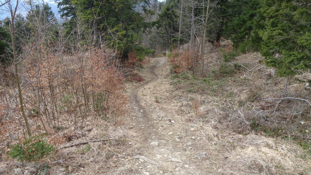 Trail towards "Rastkreuzsattel"