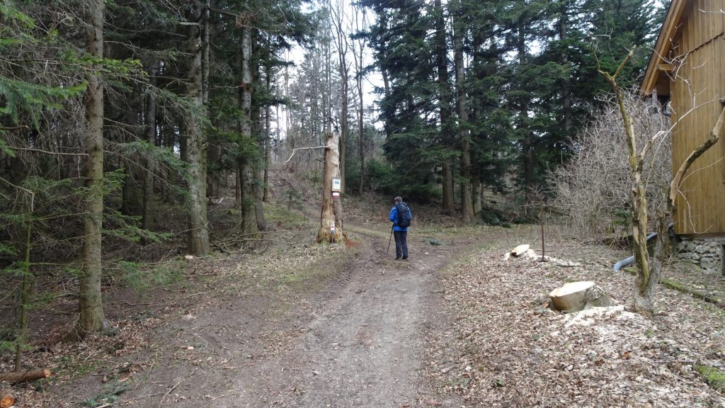 Robert ascends towards "Gelände"