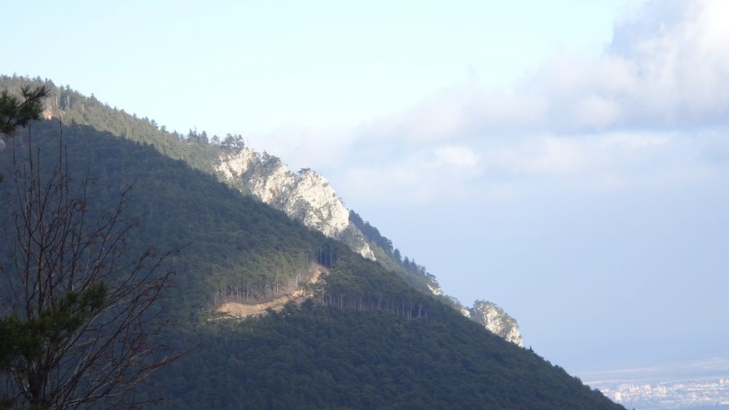 The view from the trail