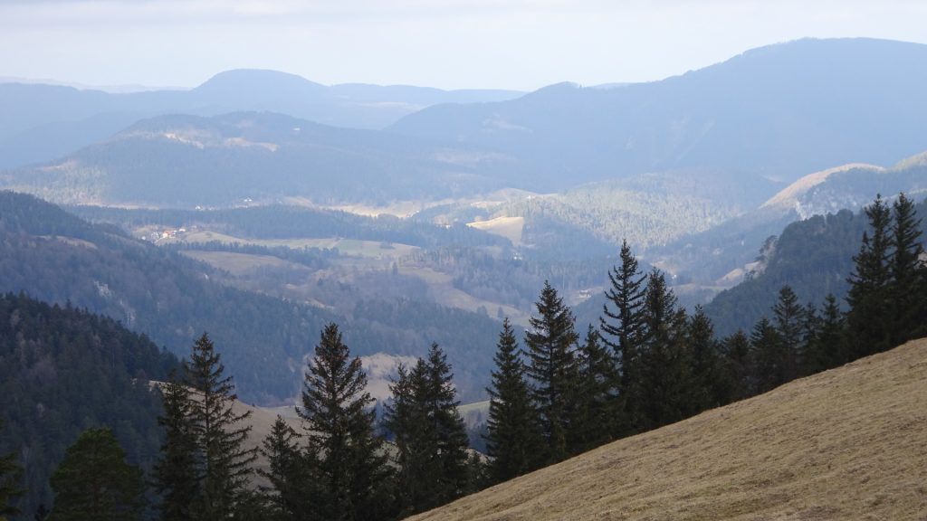 The view from the trail