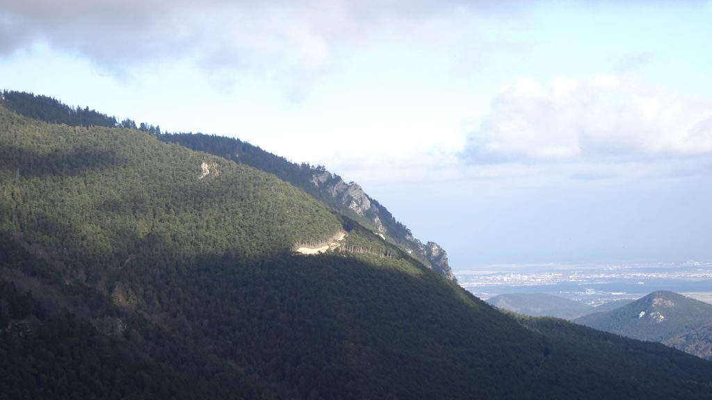 The view from the trail